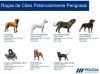 FORMAÇÃO PARA DETENTORES DE CÃES PERIGOSOS OU POTENCIALMENTE PERIGOSOS