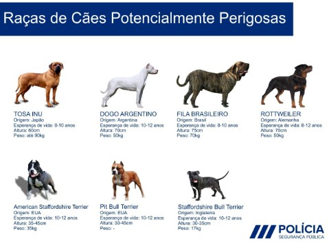 FORMAÇÃO PARA DETENTORES DE CÃES PERIGOSOS OU POTENCIALMENTE PERIGOSOS