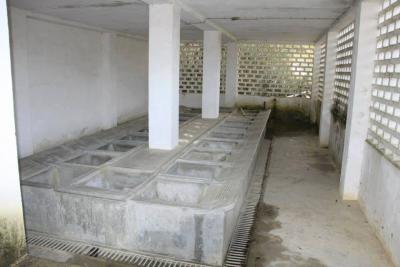 Lavadores P&uacute;blicos de Manique do Intendente